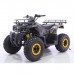 Квадроцикл GRIZLIK T200