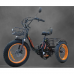 Электровелосипед KUGOO TRIKE Электровелосипед KUGOO TRIKE