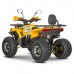 Квадроцикл Dazzle ATV125 Комплектация 2 Квадроцикл Dazzle ATV125 Комплектация 2
