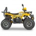 Квадроцикл Dazzle ATV125 Комплектация 2 Квадроцикл Dazzle ATV125 Комплектация 2