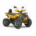 Квадроцикл Dazzle ATV125 Комплектация 2 Квадроцикл Dazzle ATV125 Комплектация 2