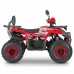 Квадроцикл Dazzle ATV125 Комплектация 1