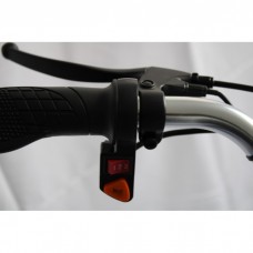 Электровелосипед трехколесный GreenCamel Трайк-24 V3 (R24 350W 48V12Ah) 7 скор