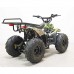 Электроквадроцикл GreenCamel Gobi K51 800W
