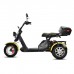 Электротрицикл Citycoco Siberton PRO TRIKE 3000W Электротрицикл Citycoco Siberton PRO TRIKE 3000W