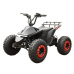 Электроквадроцикл детский Skyboard CyberTruck Karelia 1800W Электроквадроцикл детский Skyboard CyberTruck Karelia 1800W