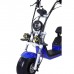 Трехколесный электроскутер Citycoco Trike GT X6 Трехколесный электроскутер Citycoco Trike GT X6