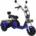 Трехколесный электроскутер Citycoco Trike GT X6 Трехколесный электроскутер Citycoco Trike GT X6