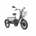 Трёхколёсный электровелосипед Eltreco GREEN CITY e-ALFA Trike