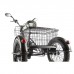 Трёхколёсный электровелосипед Eltreco GREEN CITY e-ALFA Trike